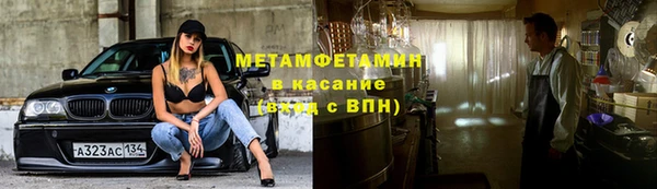 прущие грибы Магадан