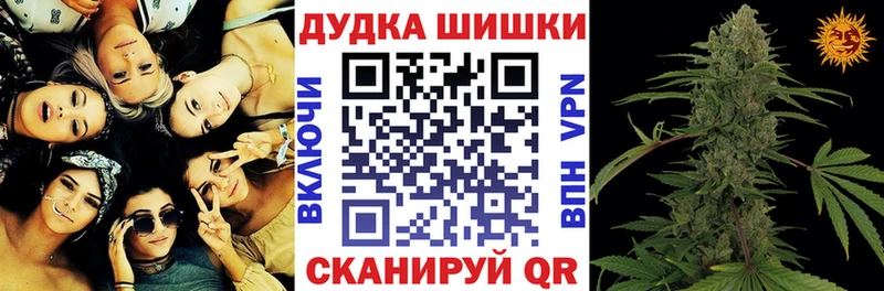 где найти наркотики  Ессентуки  Бошки Шишки сатива 